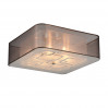 Потолочный светильник Ajur ST-Luce SL940.802.06