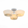 Потолочная люстра ST-Luce Adatto SL296.502.03