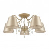 Потолочная люстра Rimonio ST-Luce SL1135.102.05