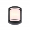 Настенный уличный светильник Agio ST-Luce SL076.401.01