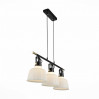 Подвесная люстра Aletante ST-Luce 3*60W E27 SL714.043.03