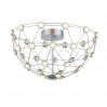 Потолочная люстра Ufo ST-Luce LED SL796.102.36