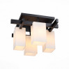 Потолочная люстра Caset ST-Luce 4*40W Е27 SL541.402.04
