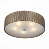 Потолочный светильник Rondella ST-Luce коричневый SL357.702.05