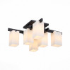 Потолочная люстра Caset ST-Luce 6*40W Е27 SL541.402.06