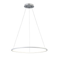 Подвесной светильник Erto ST-Luce LED SL904.513.01