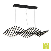 Подвесная люстра Picodi ST-Luce LED SLD001.403.20