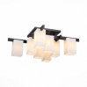 Потолочная люстра Caset ST-Luce 8*40W Е27 SL541.402.08