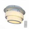 Потолочный светильник Ovale ST-Luce LED 12W SL546.501.01