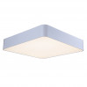 Потолочный светильник Presente ST-Luce LED SL955.552.01