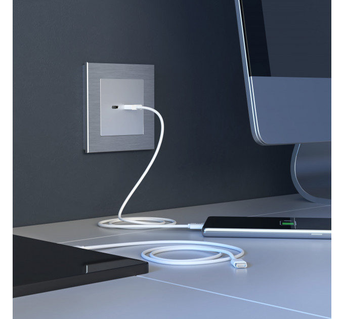 Розетка USB тип A+С (серебряный) W1171806