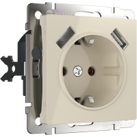Розетка с заземлением, шторками и USBх2 (слоновая кость) WL03-SKGS-USBx2-IP20