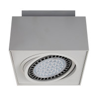 Потолочный светильник Boxy Zumaline CL 1 20074-WH