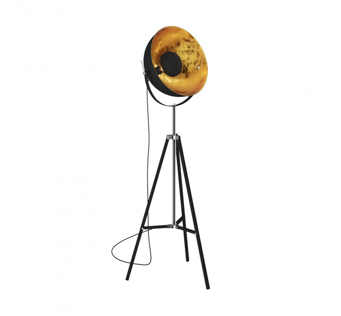 Торшер Antenne Zumaline TS-090522F-BK