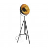 Торшер Antenne Zumaline TS-090522F-BK