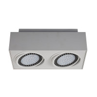 Потолочный светильник Boxy Zumaline CL 2 20075-WH