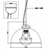 Подвесной светильник Antenne Zumaline 1*60W Е27 черный TS-071003PM-BKGO
